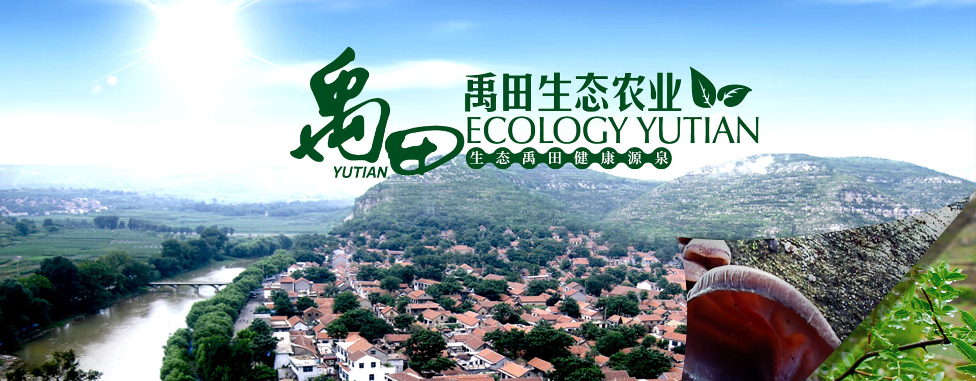 恒溫恒濕機(jī)